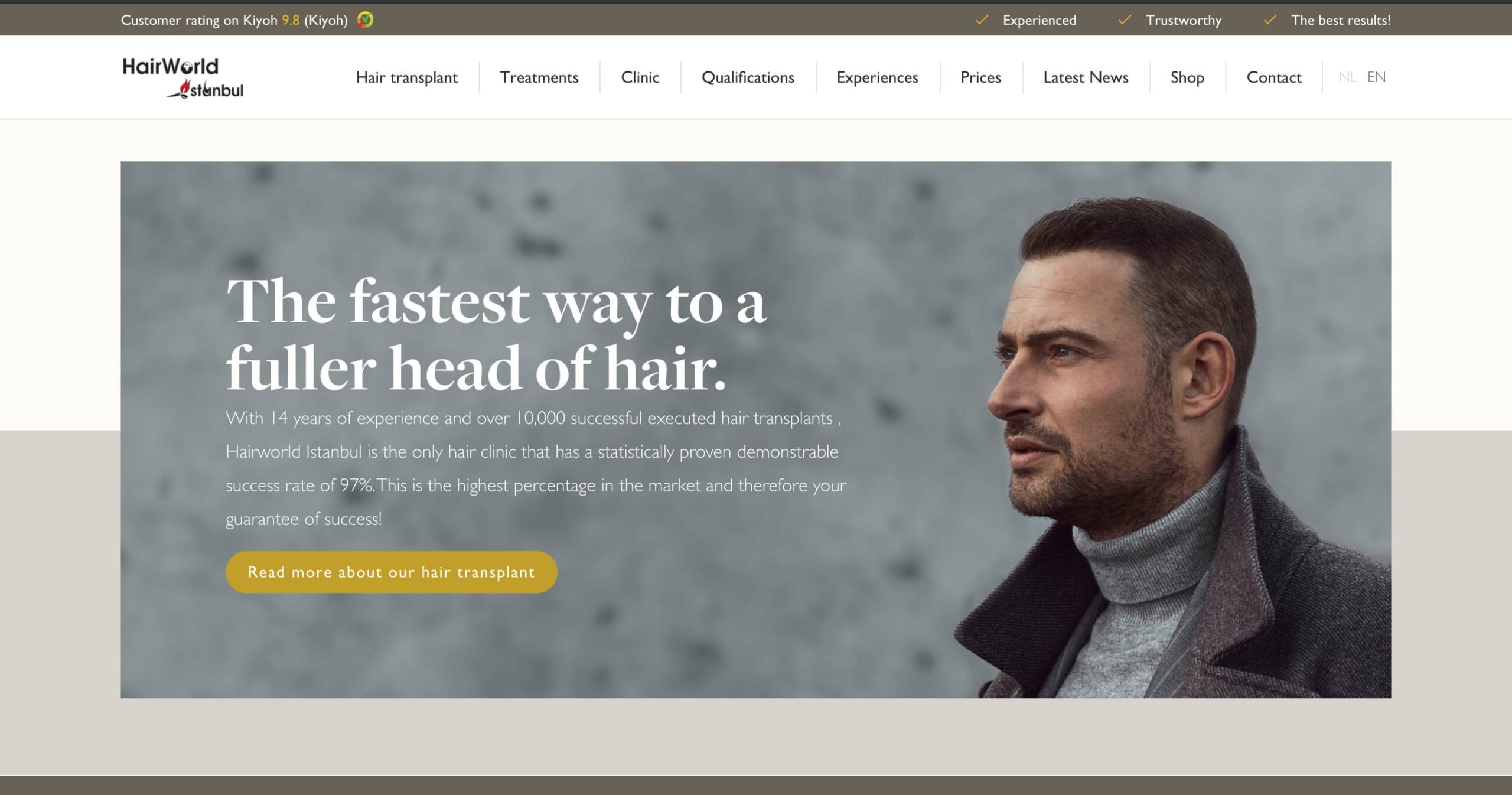 Website design and maintenance